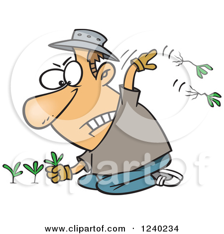 Clipart Picture of a Guy Weed