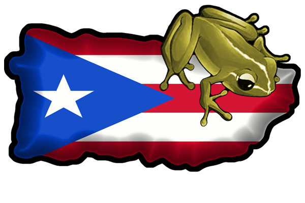 Puerto Rico Coqui Clipart ...