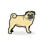 ... Pug Clipart | Free Download Clip Art | Free Clip Art | on Clipart .
