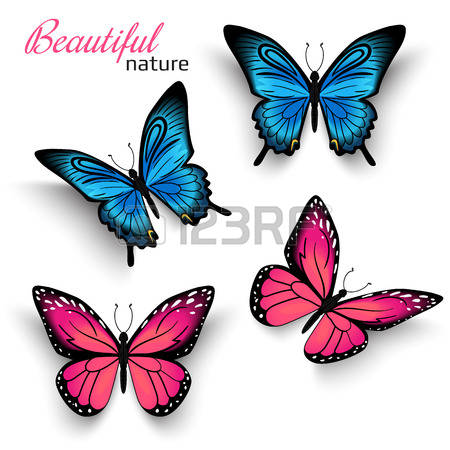 purple butterfly: Beautiful realistic butterflies blue and red with shadows isolated on white Illustration