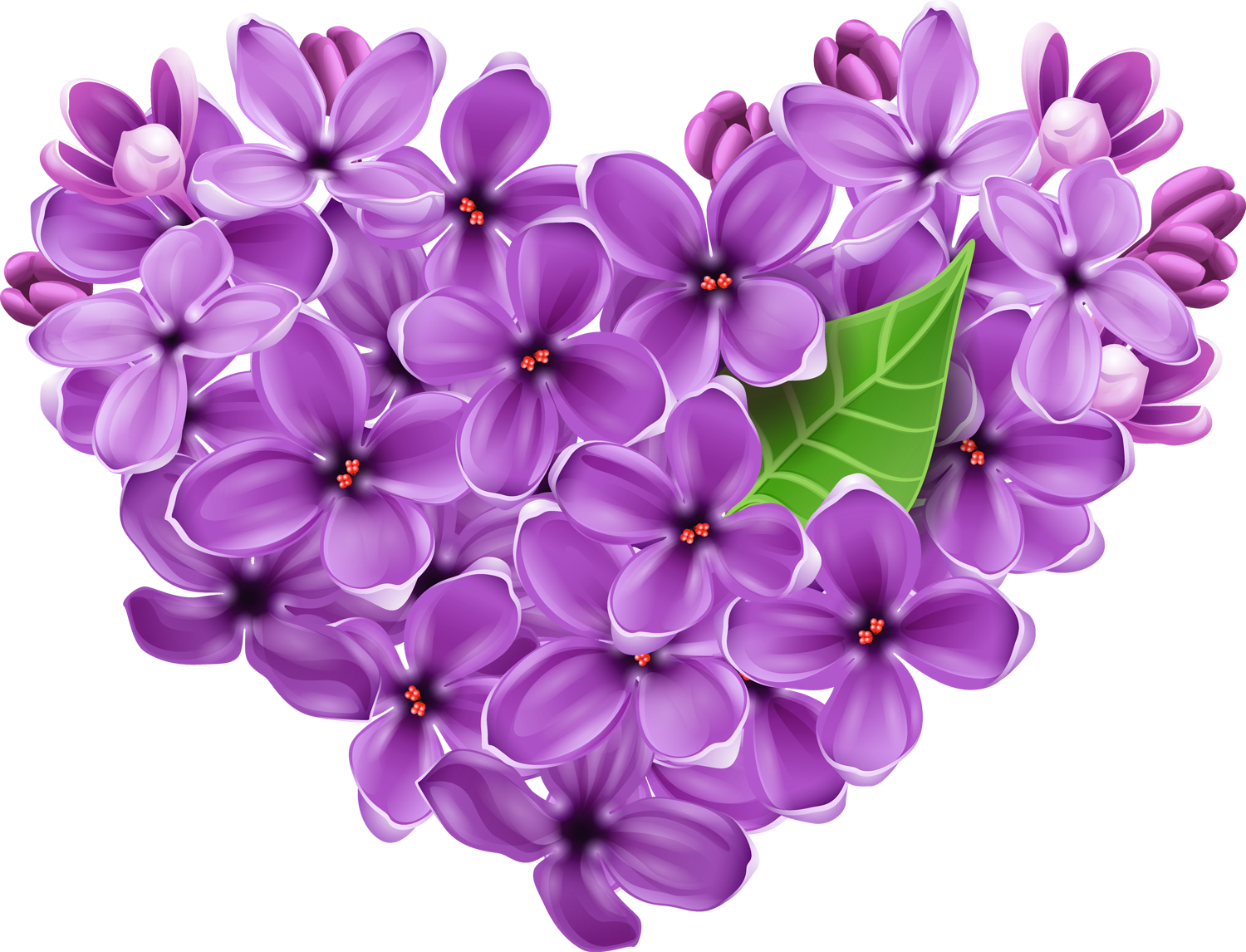 Purple Lilac Heart PNG Picture