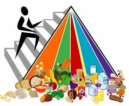 food pyramid: A cartoon repre
