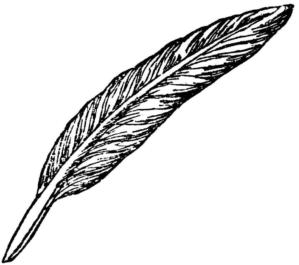 feather pen and paper% .