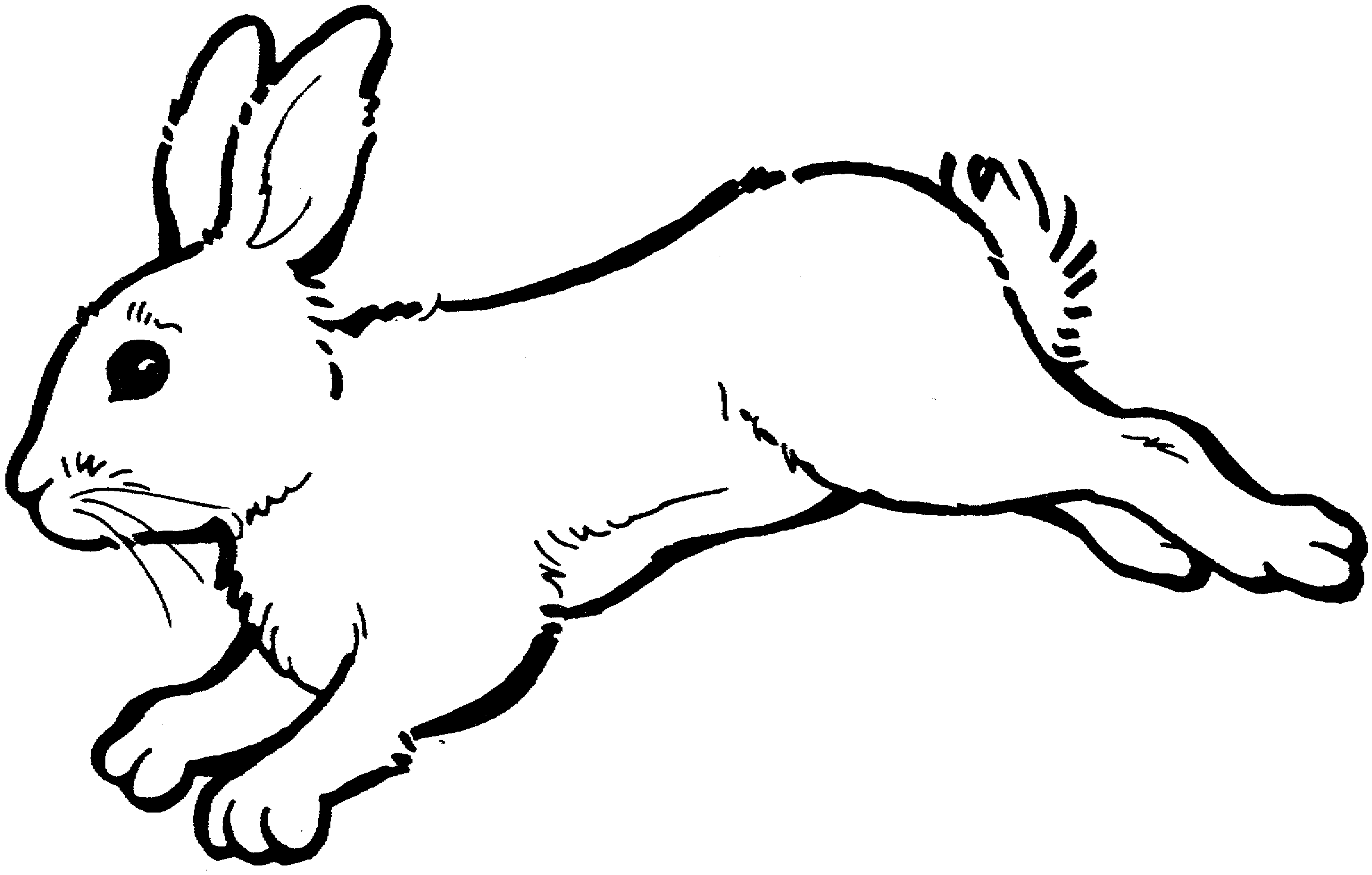 Bunny clipart black and white free clipart images 3
