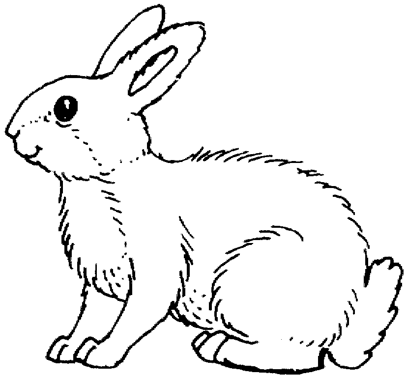 Bunny Clipart Black And White. Free Rabbit Coloring Pages