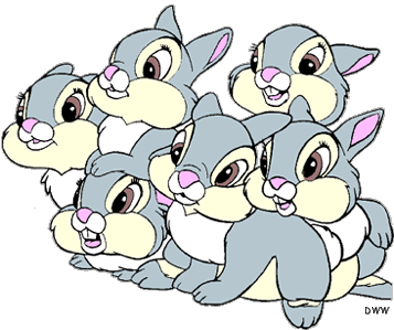 Gray Bunny Rabbit Png Rabbits