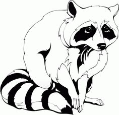 Raccoon 0 images about clip art animals on zoos