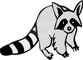 Raccoon revised clip art at v