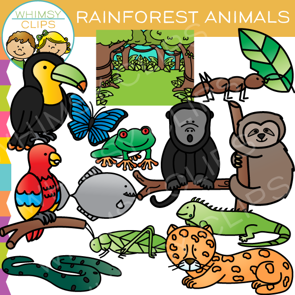 Rainforest Animal Clip Art