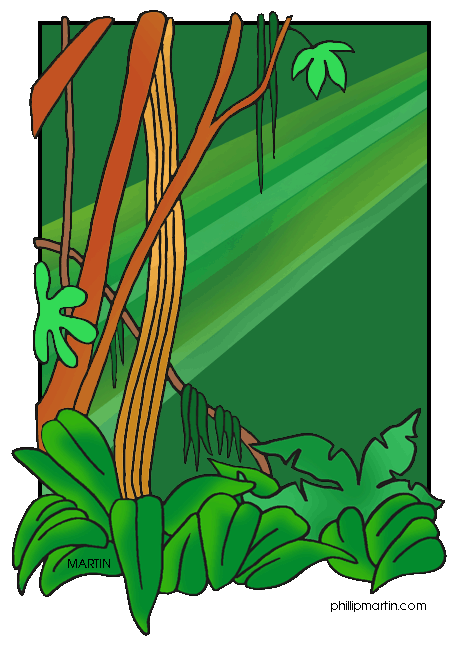 Rainforest Clip Art - Rainforest Clipart