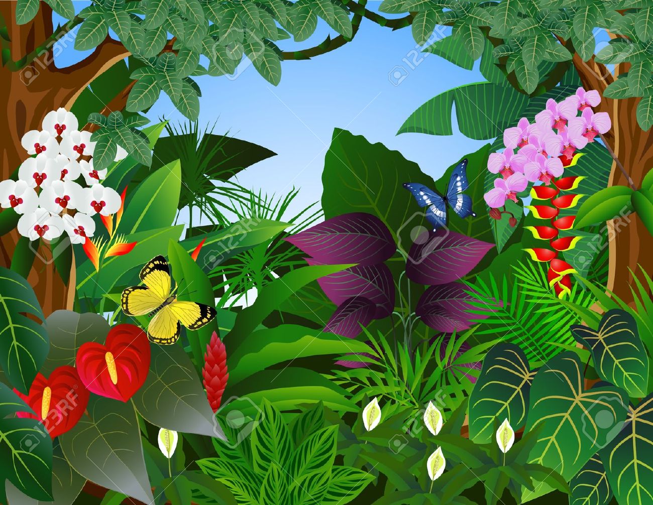 Rainforest leaves clipart web - Tropical Rainforest Clipart