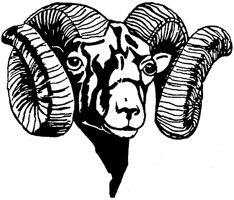 Dall Sheep Ram Clip Art At Cl