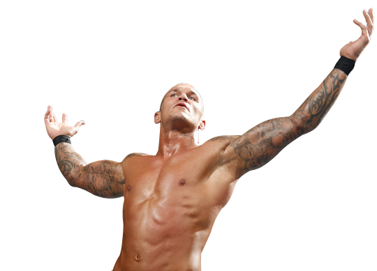 Randy Orton Picture PNG Image