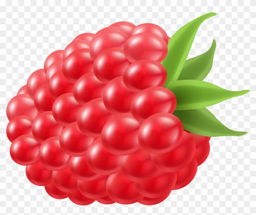 Berry Clipart Blue Raspberry - Clip Art Raspberry #530932