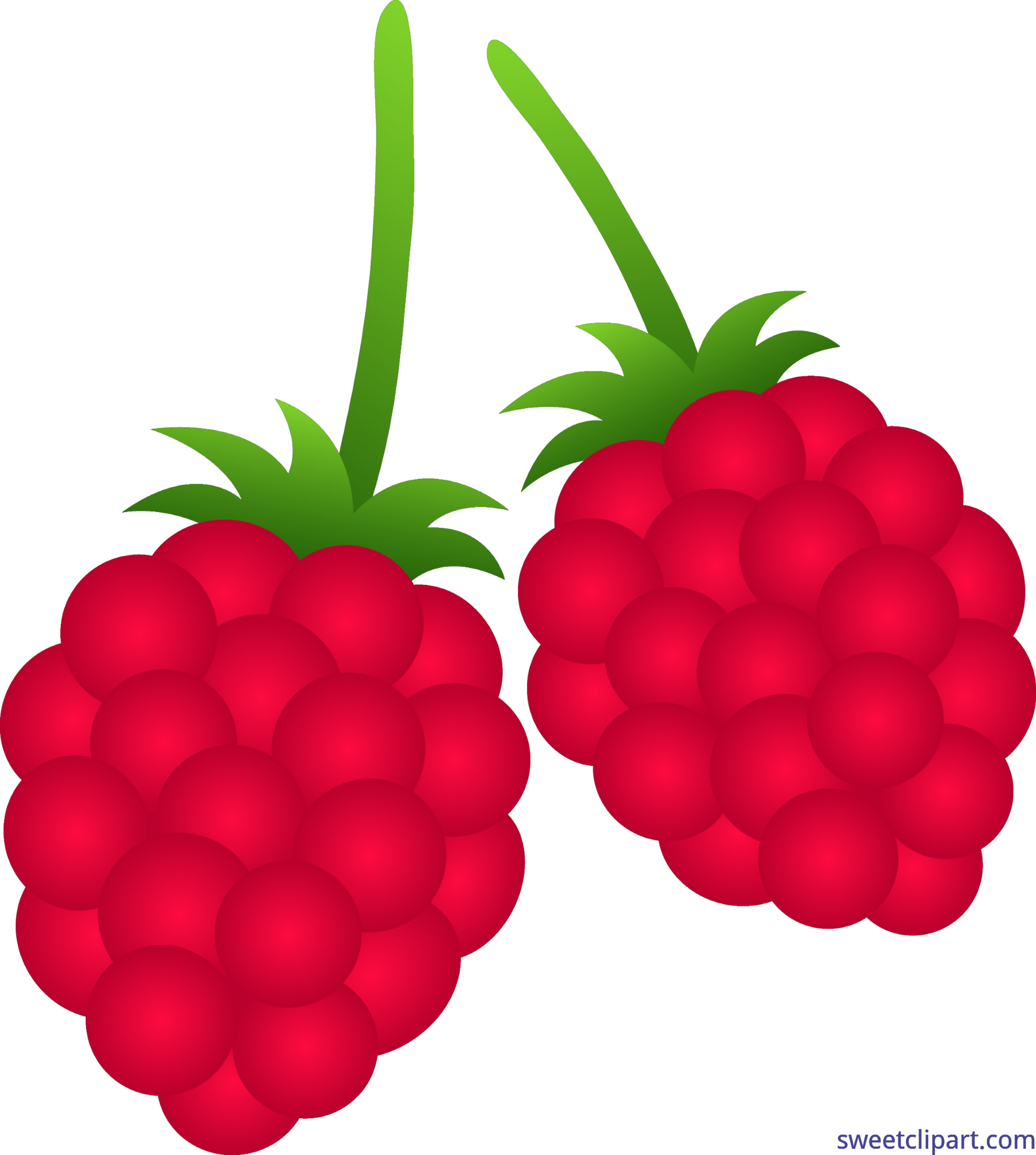 Raspberries Clip Art