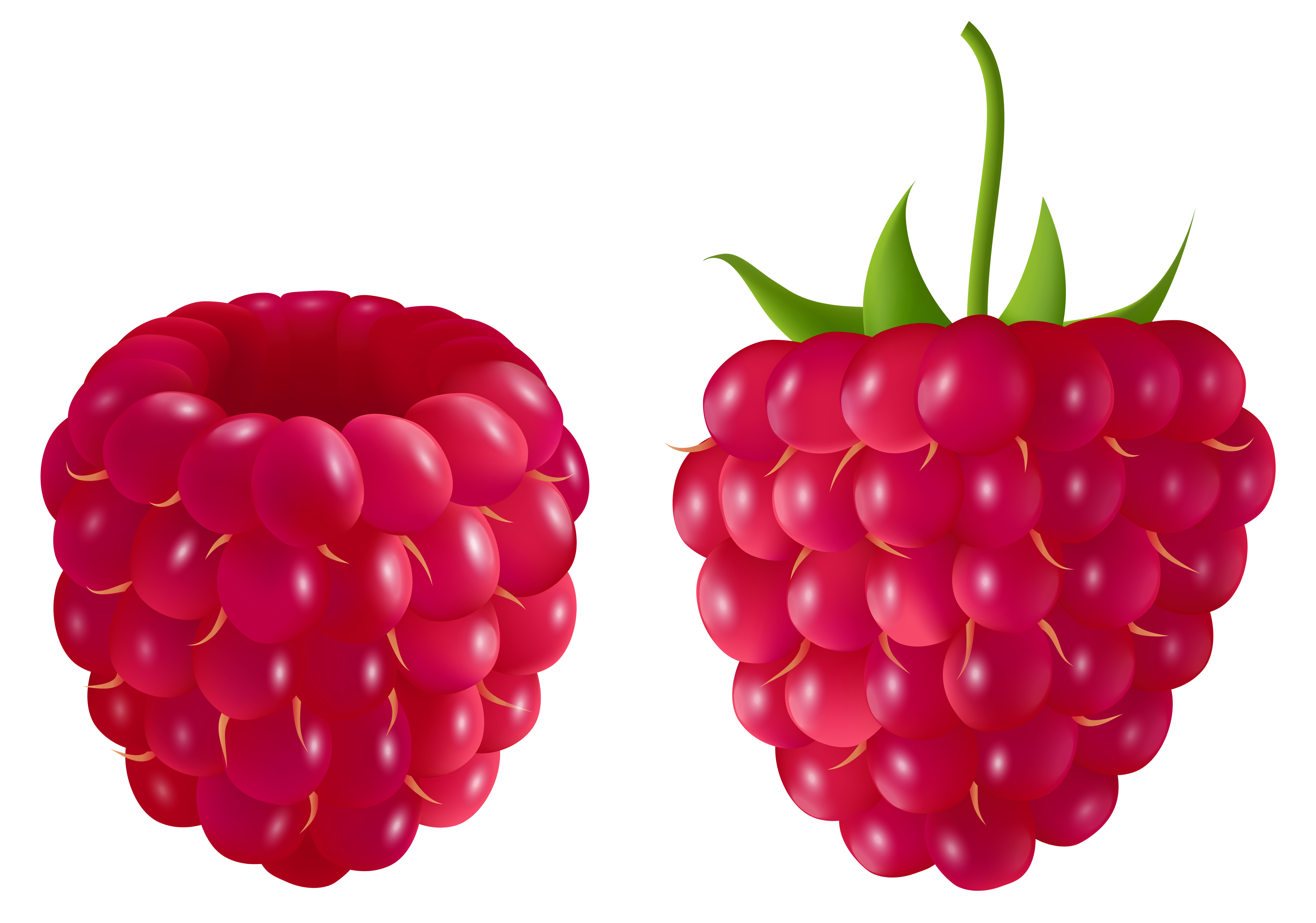 Transparent Raspberry PNG Clipart Picture