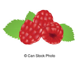 ... Raspberries on the white  - Raspberry Clip Art