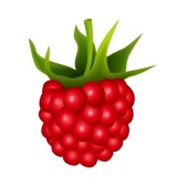 compotes : Raspberry on a