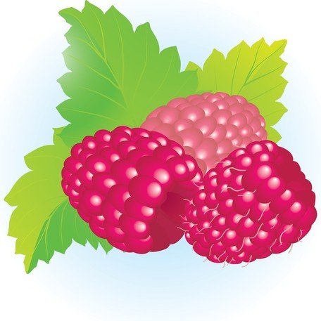 Free Raspberries