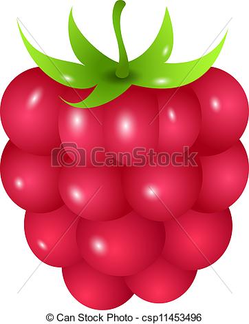 Raspberry - csp11453496