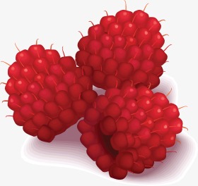 raspberry, Fruit, Food PNG Image and Clipart