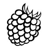 Raspberry; Vector monochrome illustration of raspberry logo.