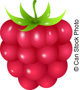 Large Painted Raspberry Png C