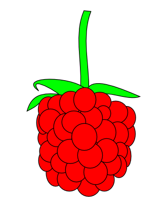 Raspberry2