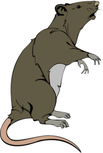 Rat Clipart Black And White Clipart Panda Free Clipart Images