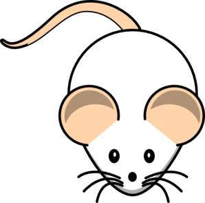 Rat clipart black and white free images