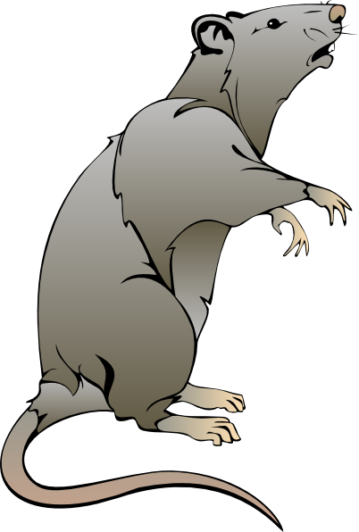Rat Clipart this image as: