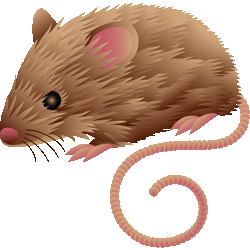 Rat mouse clipart images icons .