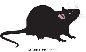 ... Rat - vector illustration of the Rat on white background