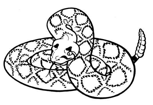 Rattlesnake Clip Art - Rattlesnake Clipart