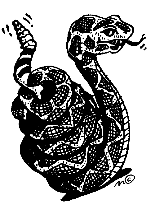 rattlesnake - Rattlesnake Clipart