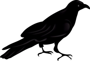 Raven Clip Art