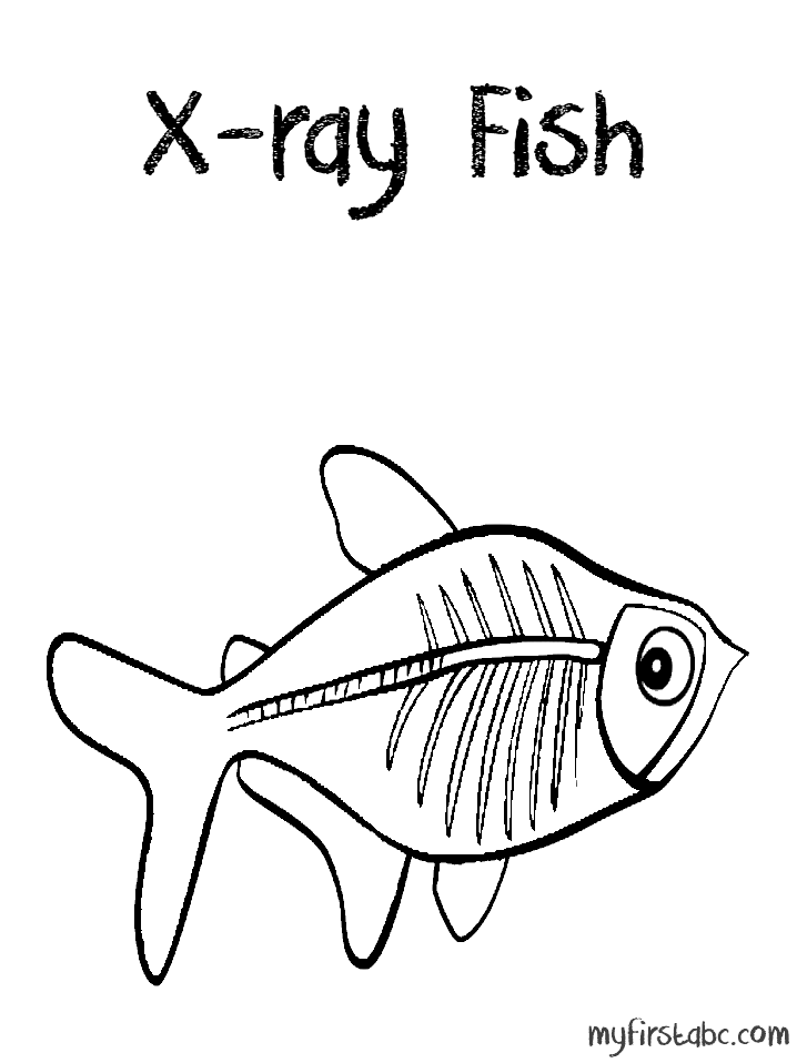 Ray Fish X Ray Fish Coloring  - X Ray Fish Clipart