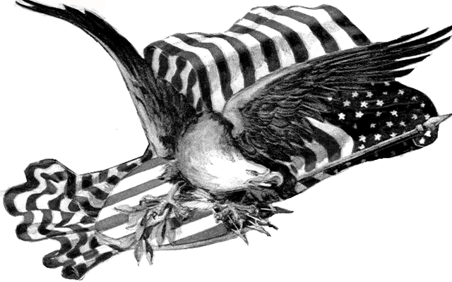American Eagle clip art Vecto