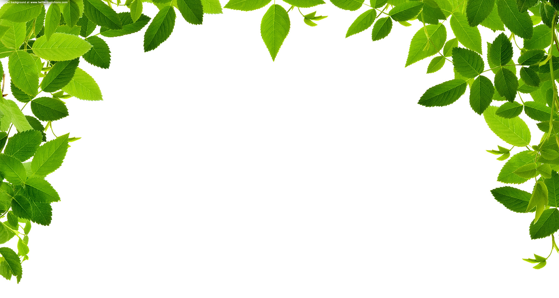 Real Leaves Border Clipart #1
