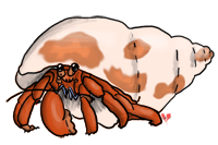 hermit crab: A cartoon illust