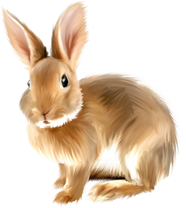 Moving bunny Clip Art | Carto