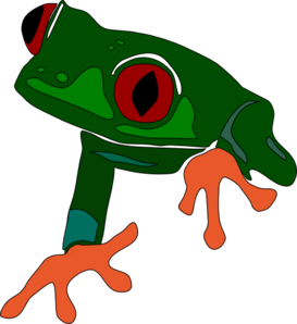 red-eyed tree frog clipart