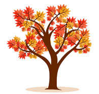 Red fall tree clipart - .