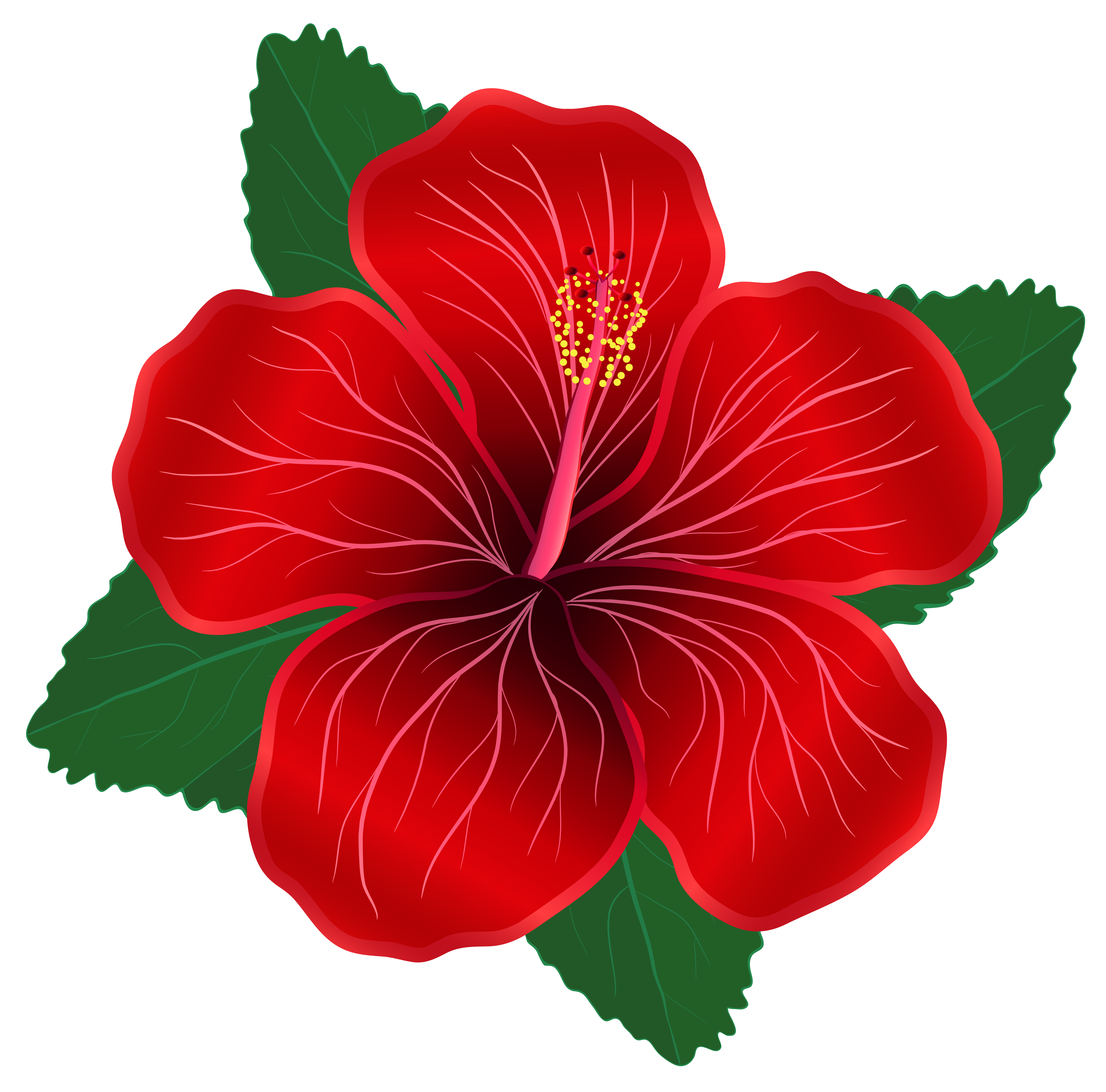 Red And White Flower Clip Art