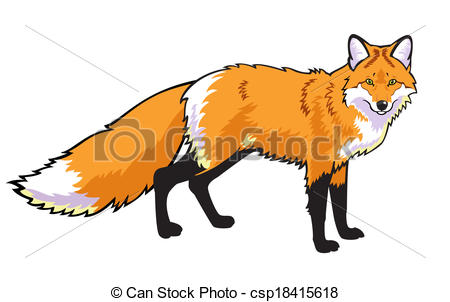 red fox - standing red fox is - Red Fox Clipart