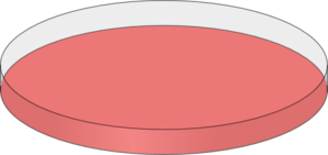 Red Petri Dish Clip Art - Petri Dish Clip Art