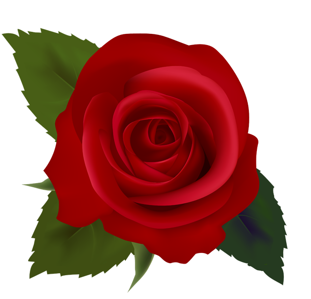 Red Rose Clip Art - Roses Clipart