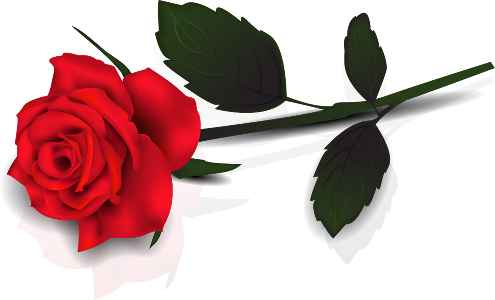 Single Red Rose Clip Art - Fr