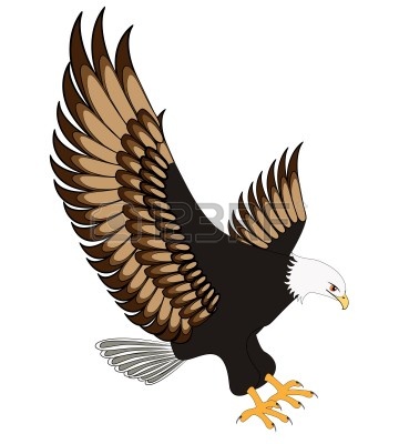 Red tailed hawk clipart free .