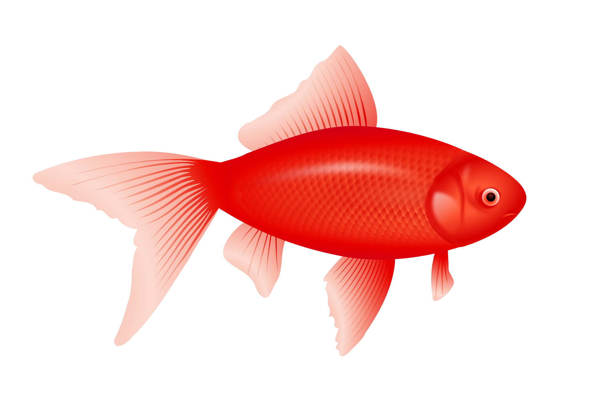 Redfish Clipart - Redfish Clipart